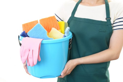 Professional steam carpet cleaning in Aldwych for fresh carpets