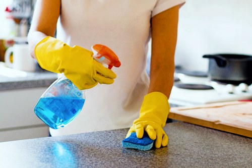 Professional cleaning results after stain removal in Aldwych