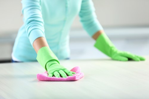 Professional carpet cleaners in Aldwych maintaining a property interior