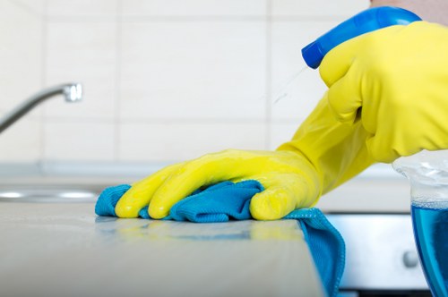 Specialist pet odour removal for carpets and soft furnishings