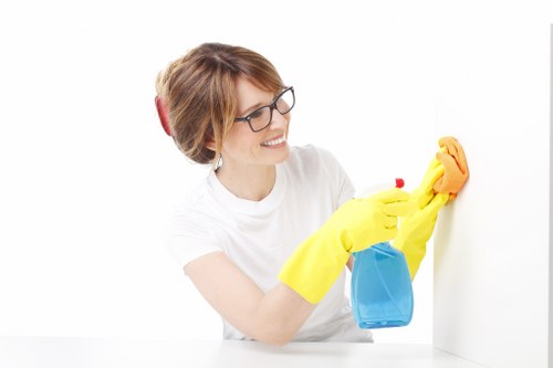 Residential carpet steam cleaning in Aldwych interior