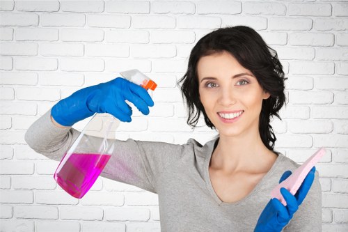 Deep cleaning upholstery after pet accident in Aldwych home